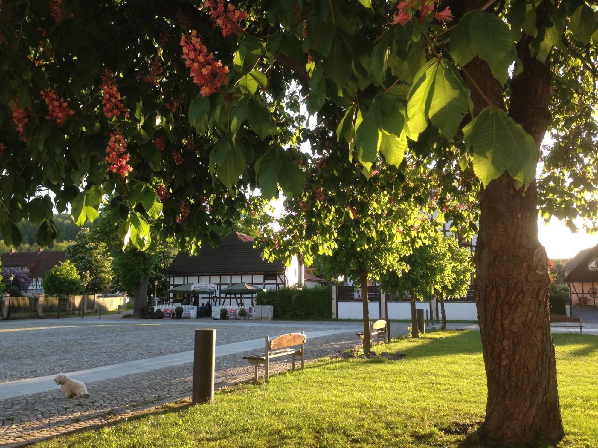 Klosterhotel Walkenried 외부 사진